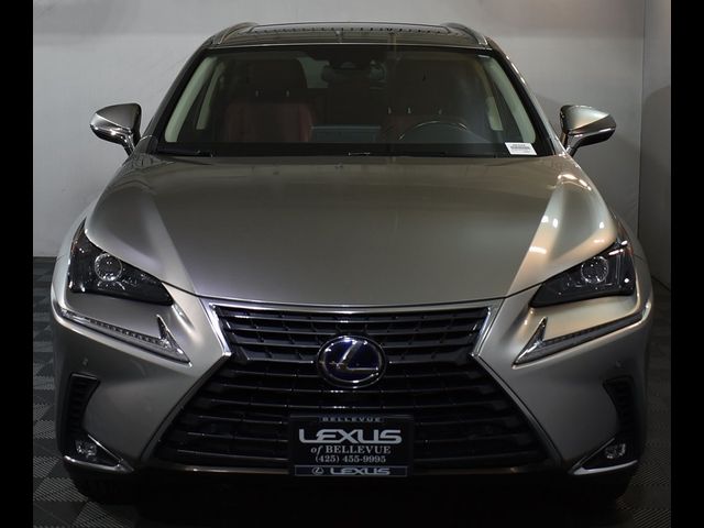 2020 Lexus NX 300h