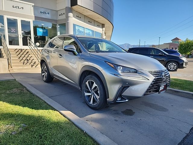 2020 Lexus NX 300h