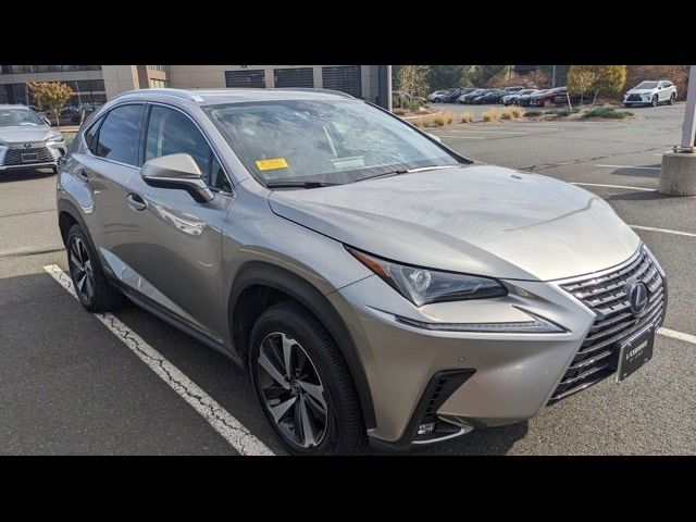 2020 Lexus NX 300h