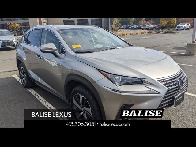 2020 Lexus NX 300h