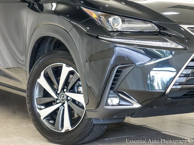 2020 Lexus NX 300h