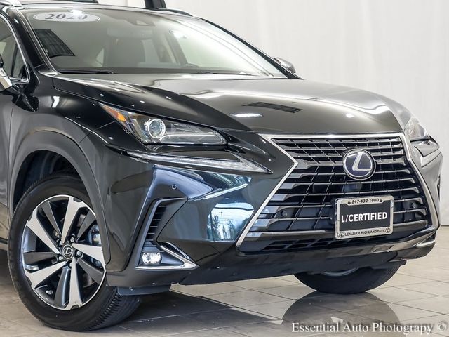 2020 Lexus NX 300h