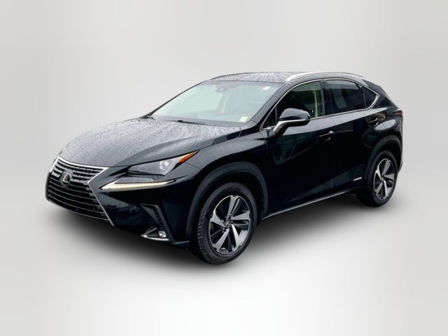 2020 Lexus NX 300h