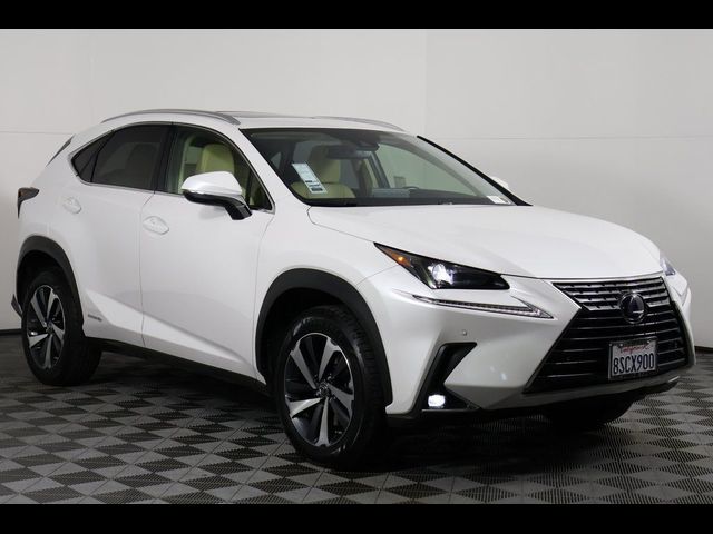 2020 Lexus NX 300h