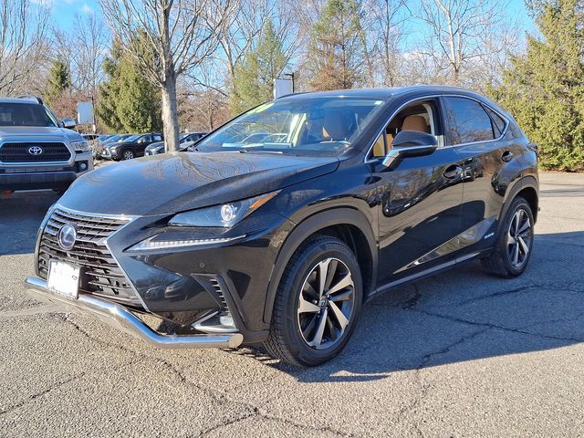 2020 Lexus NX 300h