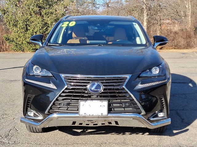 2020 Lexus NX 300h