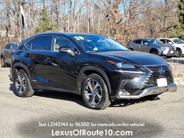 2020 Lexus NX 300h