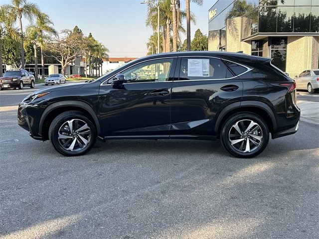 2020 Lexus NX 300h