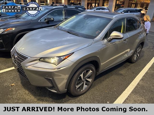 2020 Lexus NX 300h