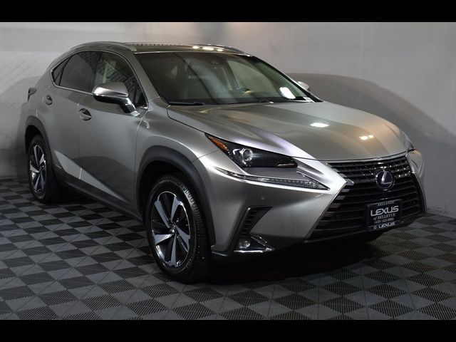 2020 Lexus NX 300h