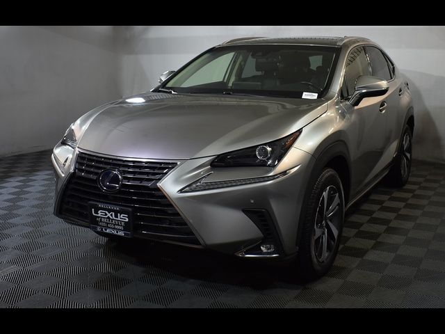 2020 Lexus NX 300h