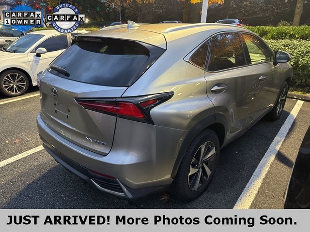 2020 Lexus NX 300h