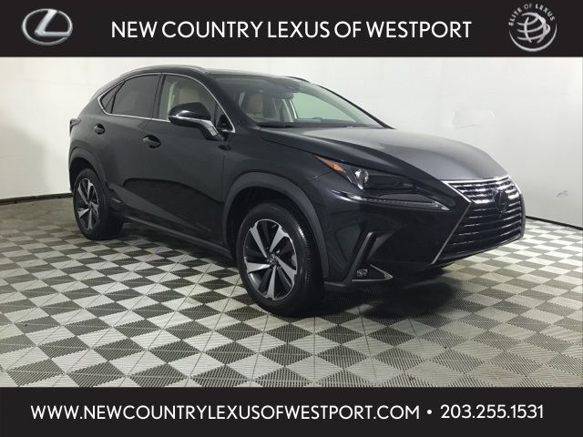 2020 Lexus NX 300h