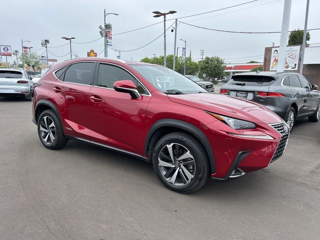 2020 Lexus NX 300h