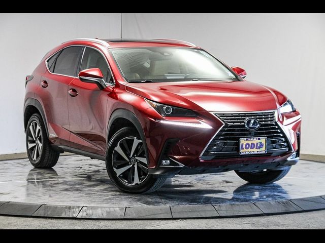 2020 Lexus NX 300h