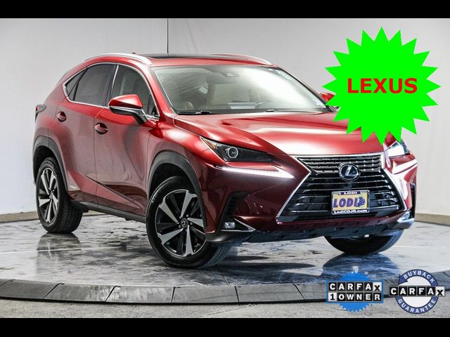 2020 Lexus NX 300h