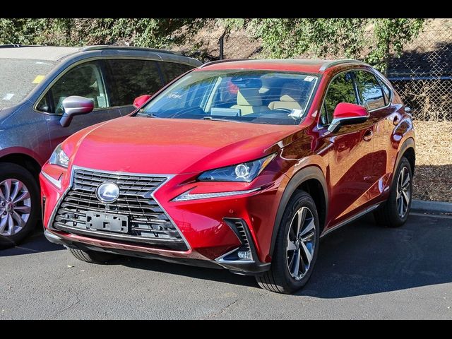 2020 Lexus NX 300h