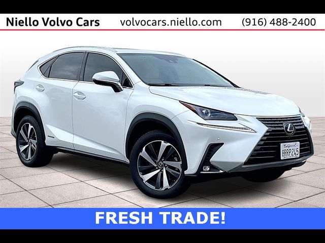 2020 Lexus NX 300h