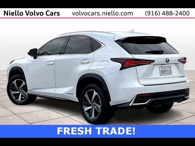 2020 Lexus NX 300h