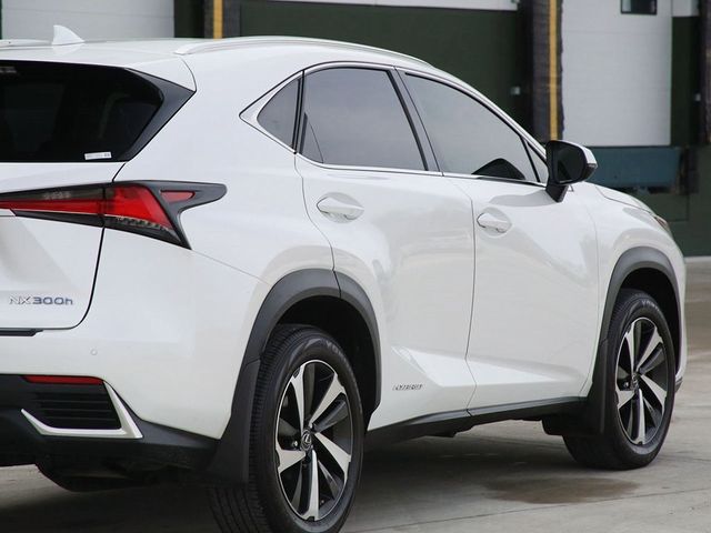 2020 Lexus NX 300h Luxury