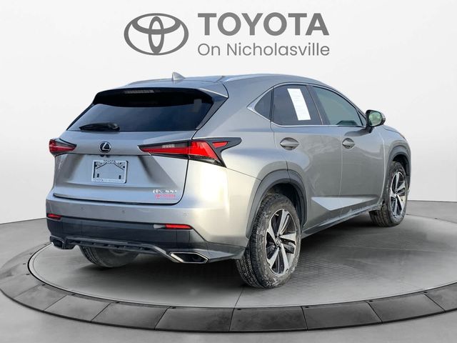 2020 Lexus NX 300