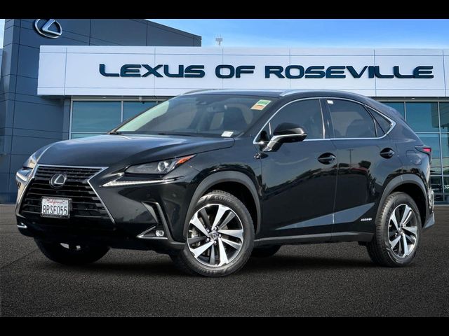 2020 Lexus NX 300h