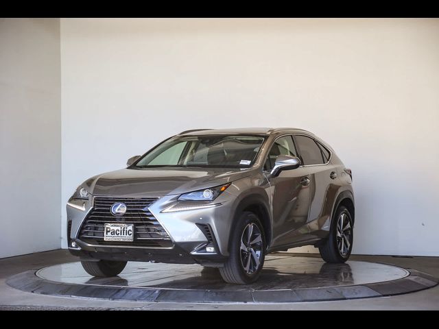 2020 Lexus NX 300h