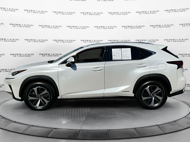 2020 Lexus NX 300h