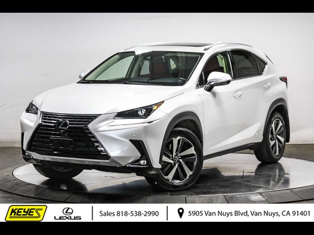 2020 Lexus NX 300h