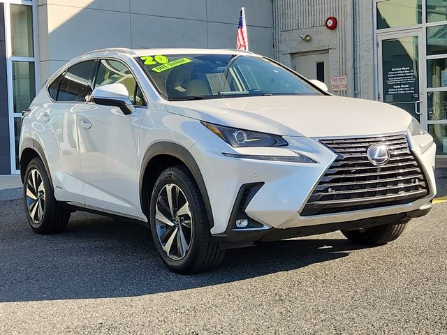 2020 Lexus NX 300h