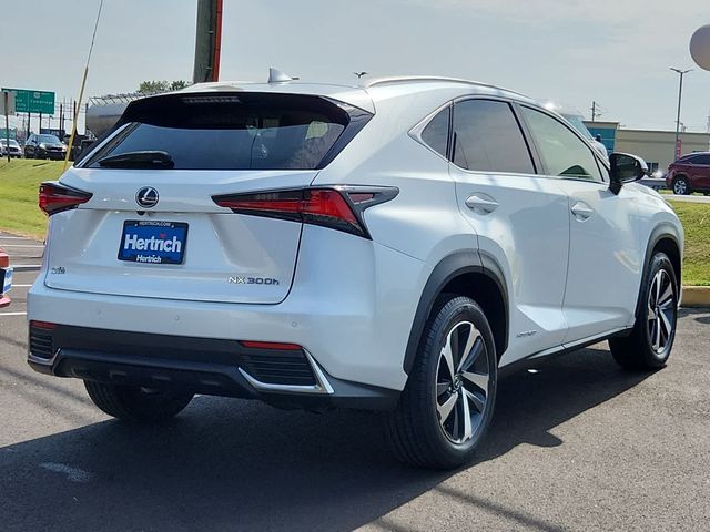 2020 Lexus NX 300h