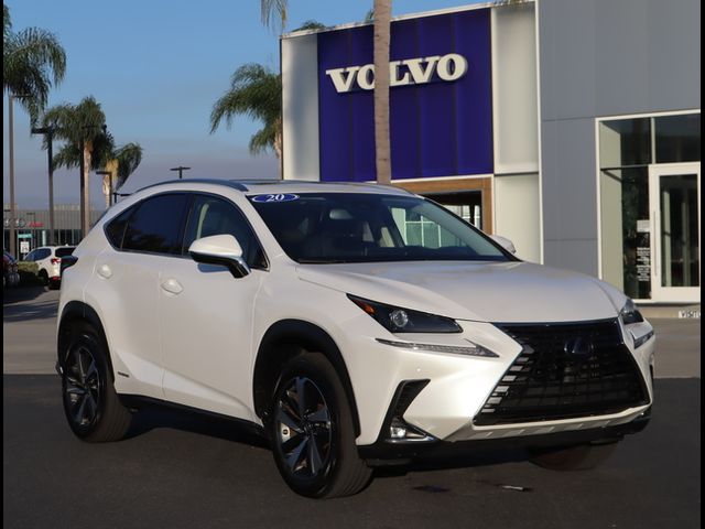 2020 Lexus NX 300h