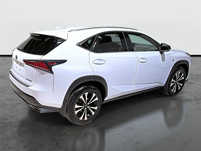 2020 Lexus NX 300 F Sport