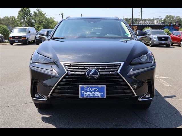 2020 Lexus NX 300h