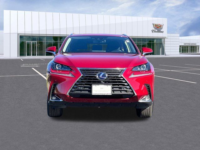 2020 Lexus NX 300h