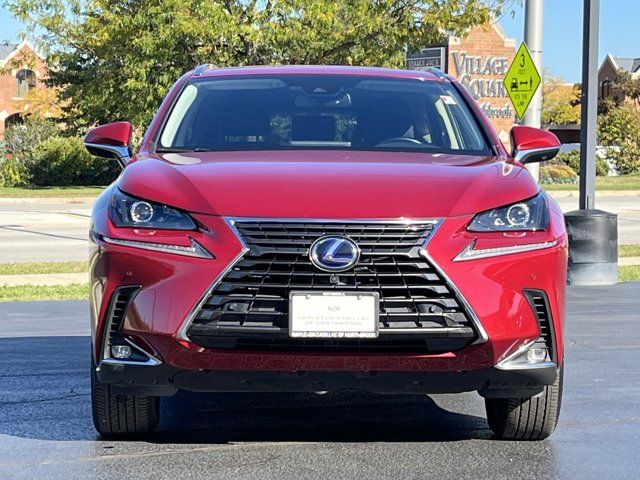 2020 Lexus NX 300h