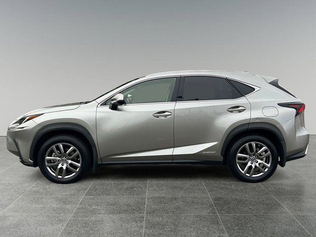 2020 Lexus NX 300h