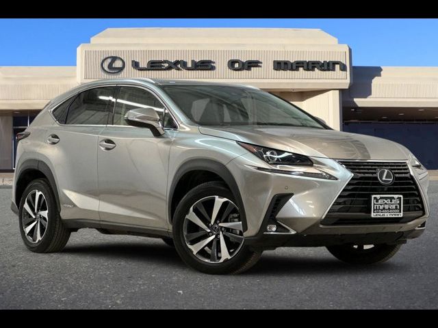 2020 Lexus NX 300h