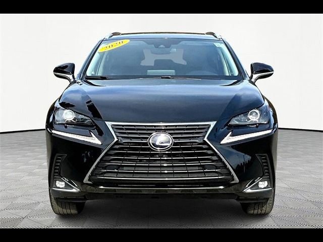 2020 Lexus NX 300h