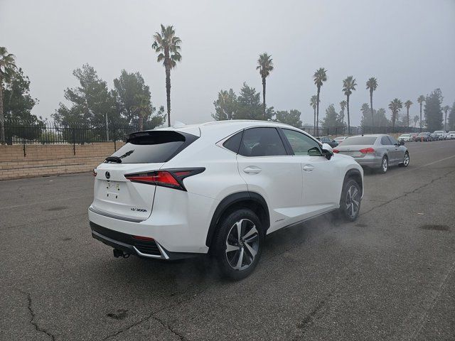 2020 Lexus NX 300h