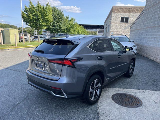 2020 Lexus NX 300h