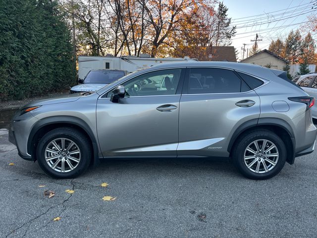 2020 Lexus NX 300h