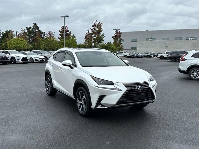 2020 Lexus NX 300h