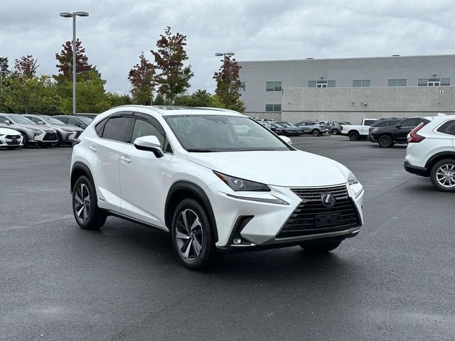 2020 Lexus NX 300h