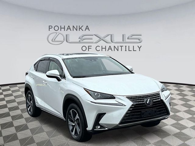 2020 Lexus NX 300h