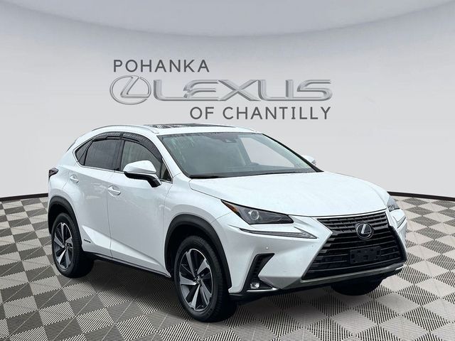 2020 Lexus NX 300h