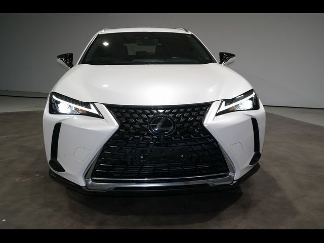 2020 Lexus UX 200