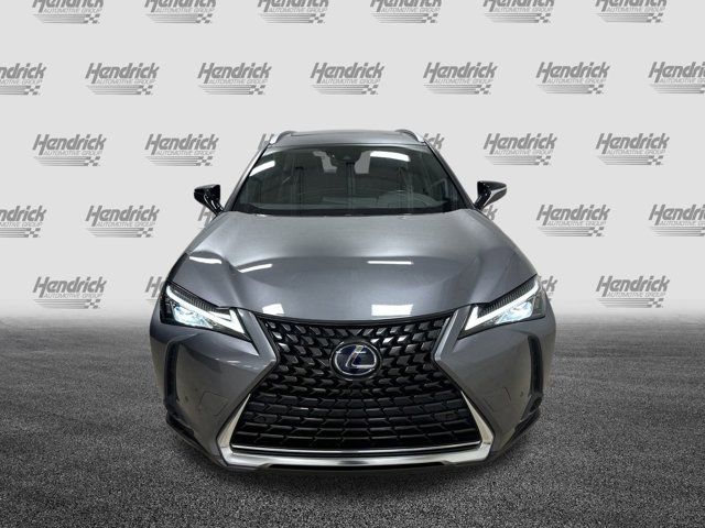 2020 Lexus UX 250h