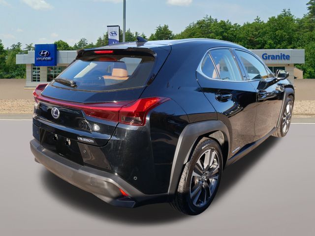 2020 Lexus UX 250h