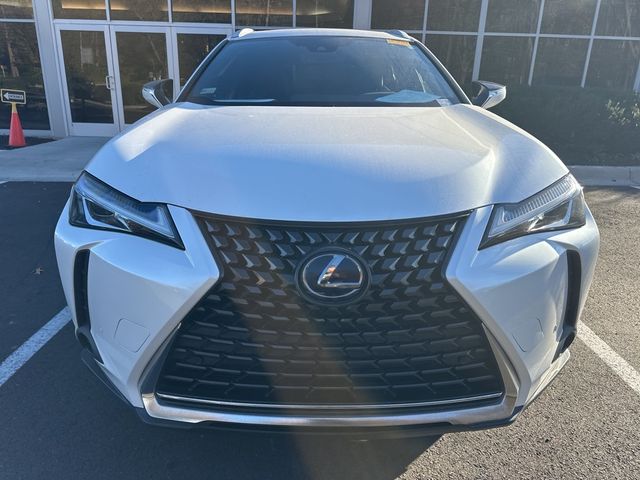 2020 Lexus UX 250h